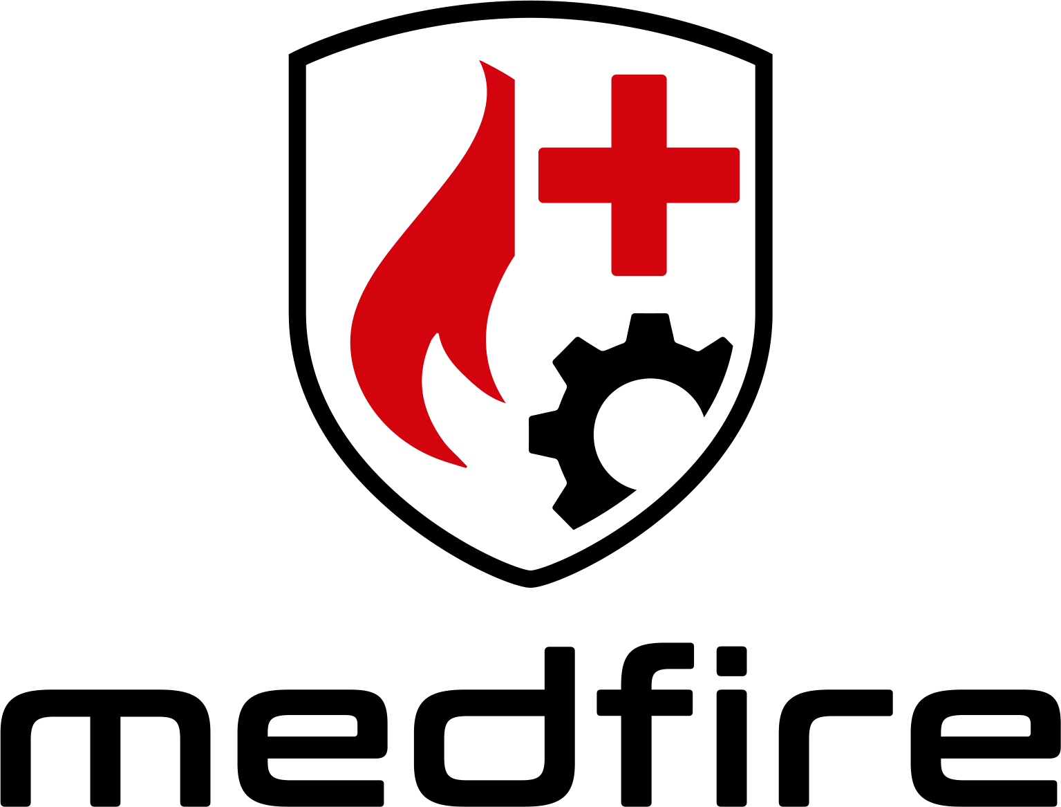 Logo MEDFIRE